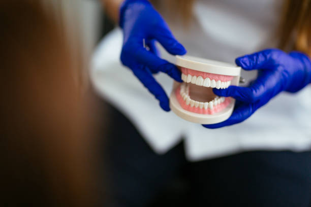 Sultan, WA  Holistic Dental Services Company